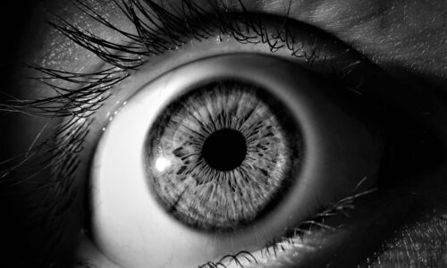 Introduction to Human Eye